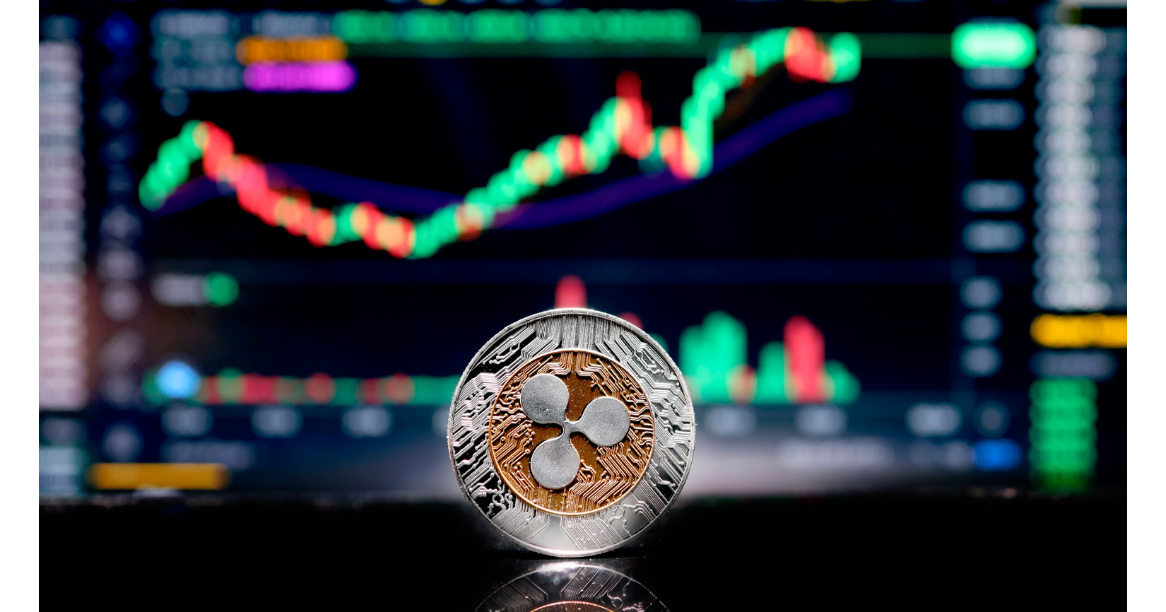 Deciding on Ripple (XRP) Investment in 2024 A $1,000 Question