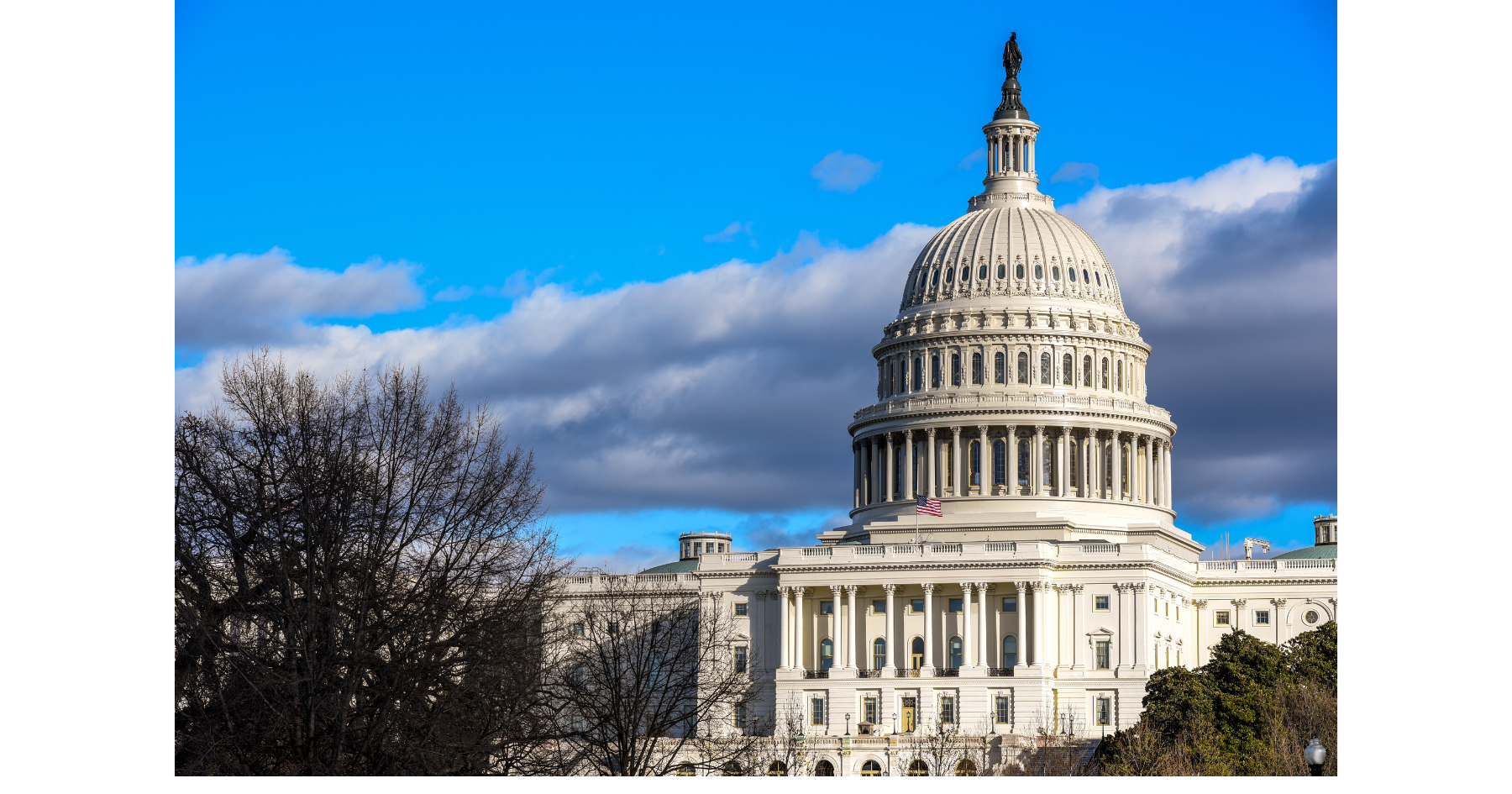 Understanding the 2024 U.S. Presidential Election An Easy-to-Follow Guide