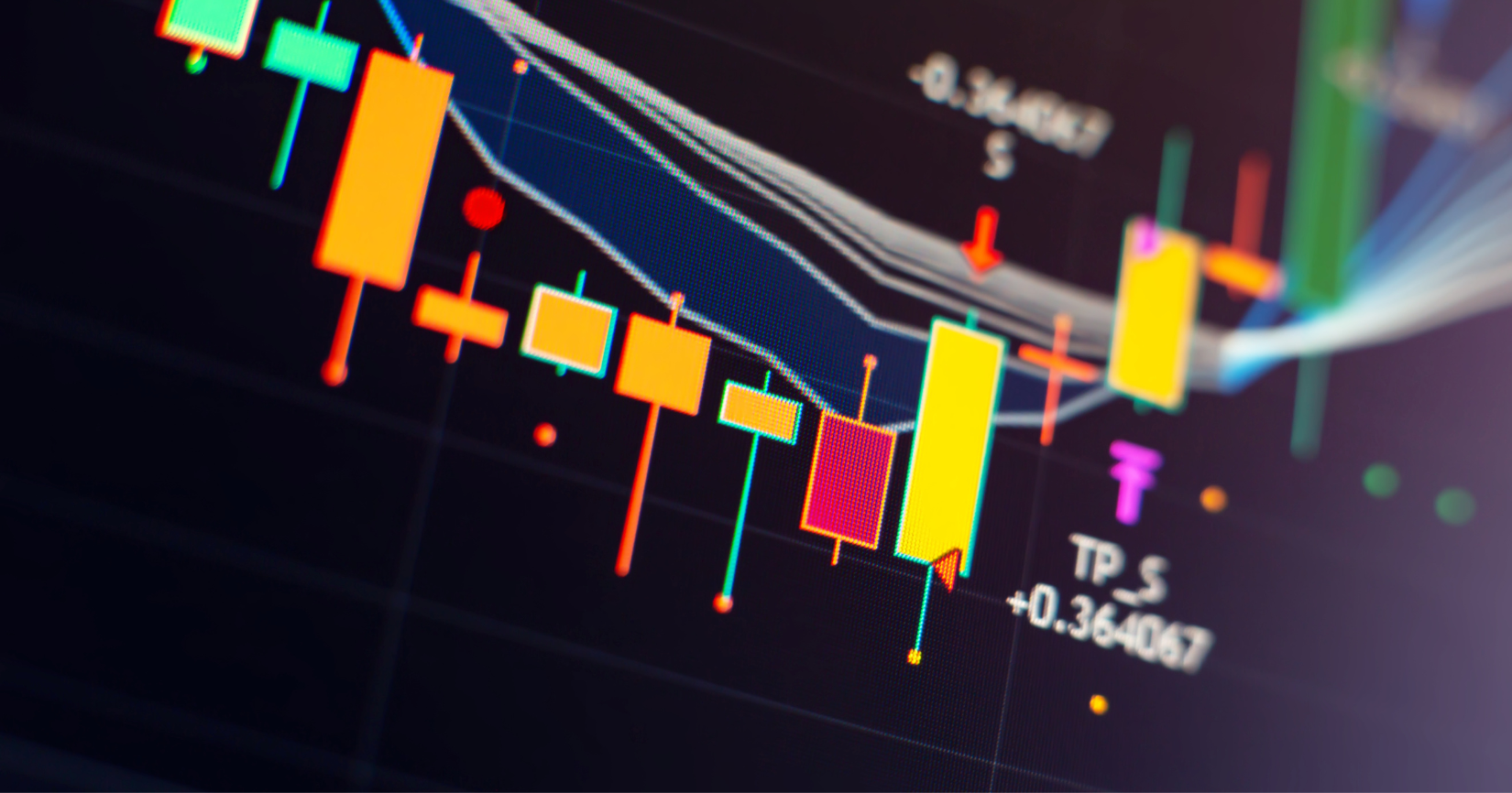 Stock Market